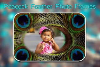 Peacock Feather Photo Frames