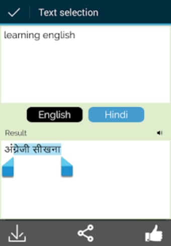 Hindi English Translator