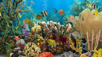 MyReef 3D Aquarium 2 HD