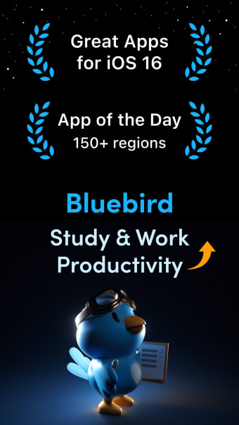 Bluebird Focus Timer