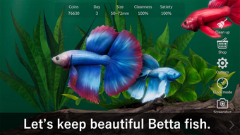 Bettarium - Betta Fish Tank