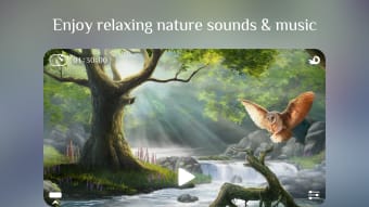 Flowing  Meditation in Nature