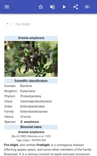 Plant diseases