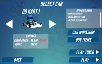 Go-Kart Champion