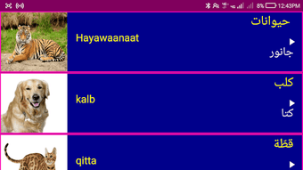 Learn Arabic From Urdu