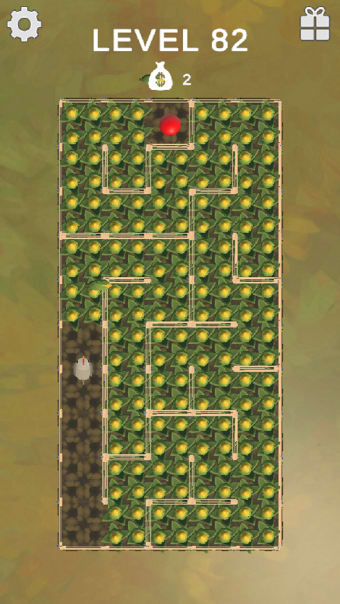 Maze Farmer