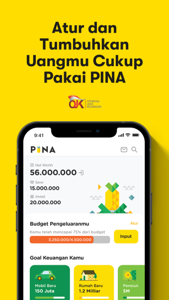 PINA - Plan Save  Invest