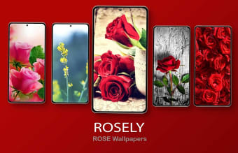 Rosely- Rose Flower wallpapers
