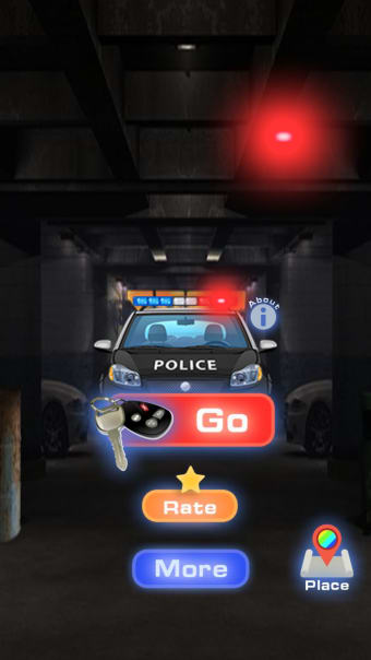 Police car experience
