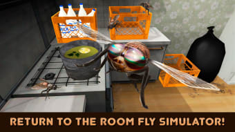 Insect Fly Life Survival Simulator