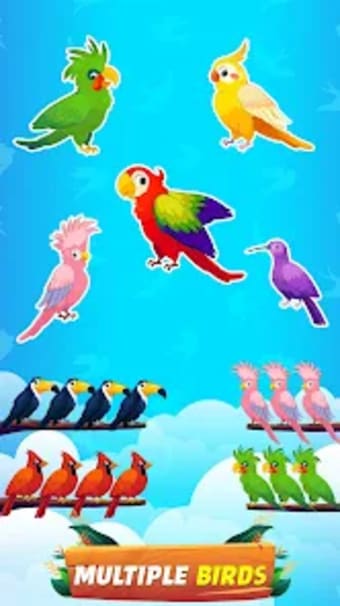 Bird Sort - Color Birds Game