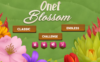 Onet Flower: Blossom Paradise
