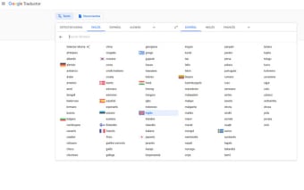 Google Translate Flags