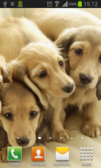 Puppies dogs live wallpaper
