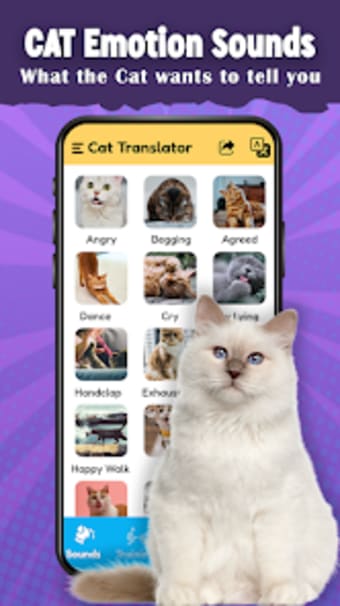 Cat Translator - Cat Sounds