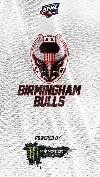 Birmingham Bulls