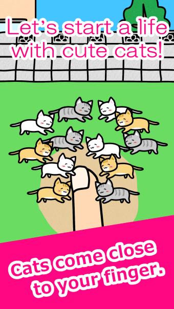 Play with Cats - relaxing game