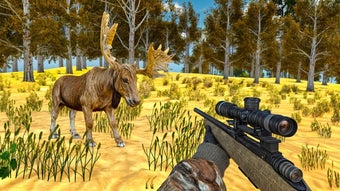 Animal Hunting 3D