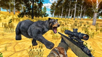 Animal Hunting 3D