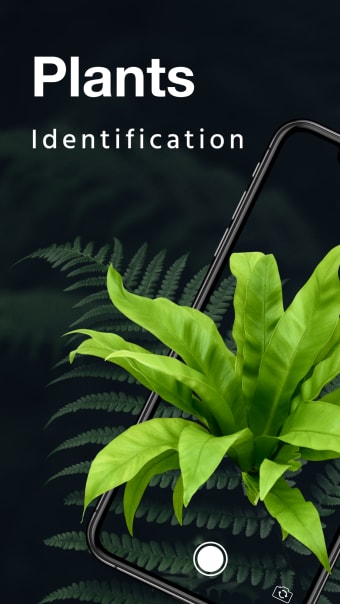 LeafSnap-Plant Identification