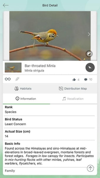 Vannya - Your Digital Bird Guide