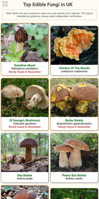 Shroomify - Mushroom Identific
