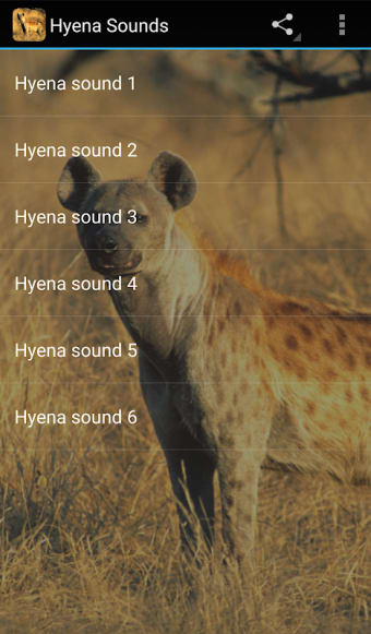 Hyena Sounds