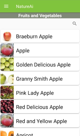 Fruits and Vegetables Identification & Scanner