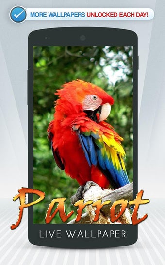 Parrot Live Wallpaper