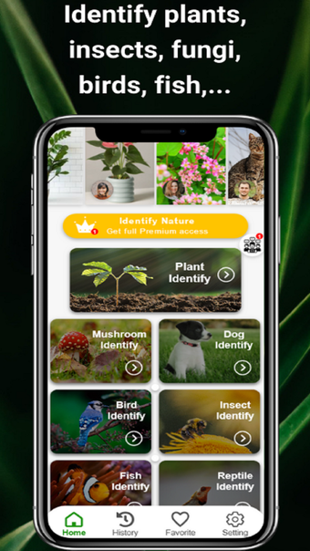 NatureSnap - Plant Identifier