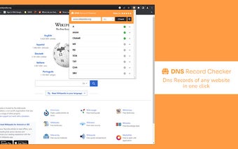 DNS Record Checker