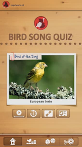 Bird Song Quiz