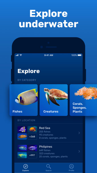 Seabook - Fish Identifier
