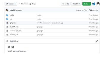 Github dev view