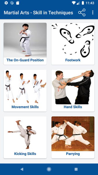 Martial Arts - Skill in Techniques