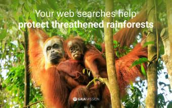 Gaia Mission - Search & save the rainforests