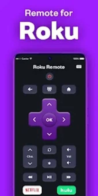 Roku TV Remote Control App