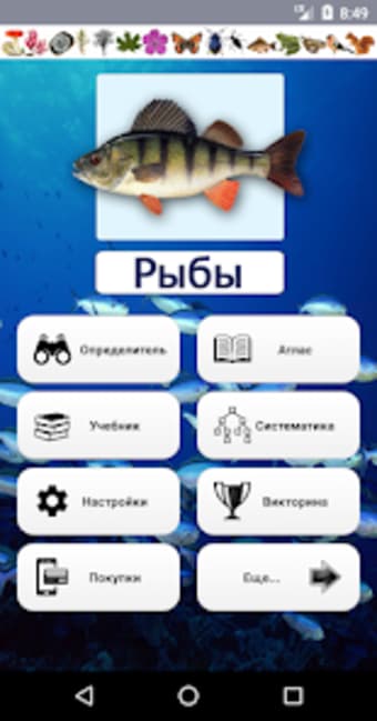 EcoGuide: Russian Wild Fish