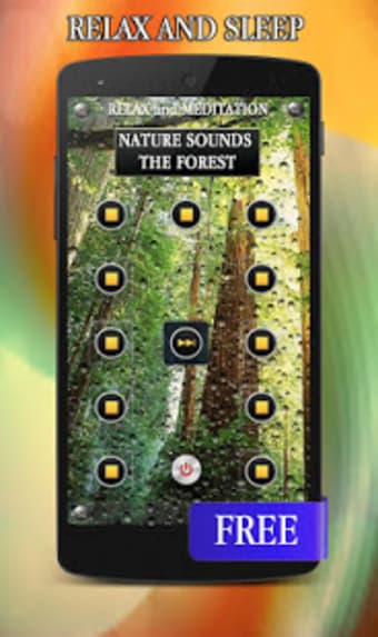 Nature Forest Sounds Relax