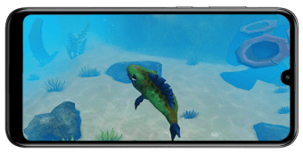 Fish Feed and Grow Free Guide 2019 - 2020