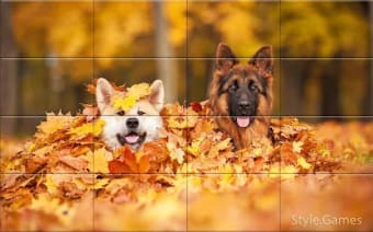 Lovely Pet Puzzle