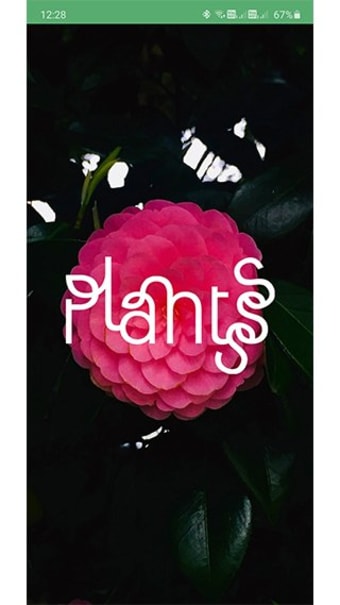 Plantsss