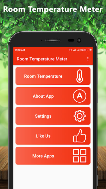 Room Temperature Meter