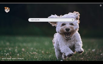 Random Dog New Tab