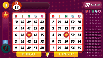 Bingo Classic Game - Offline Free