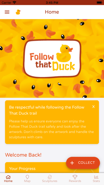 Follow That Duck