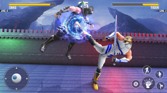 Ninja Warrior Karate Fighting