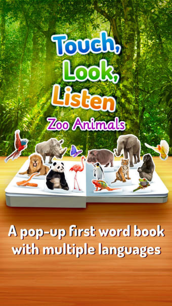 Zoo Animals  Touch Look Listen