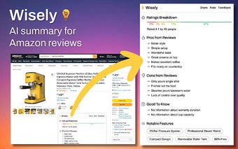 Wisely: AI Summary for Amazon Reviews