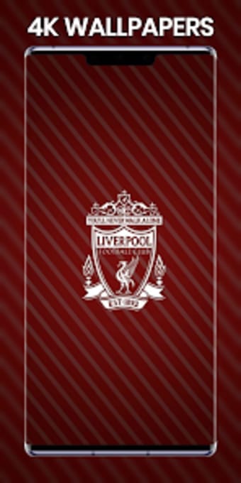 Liverpool wallpaper 4K